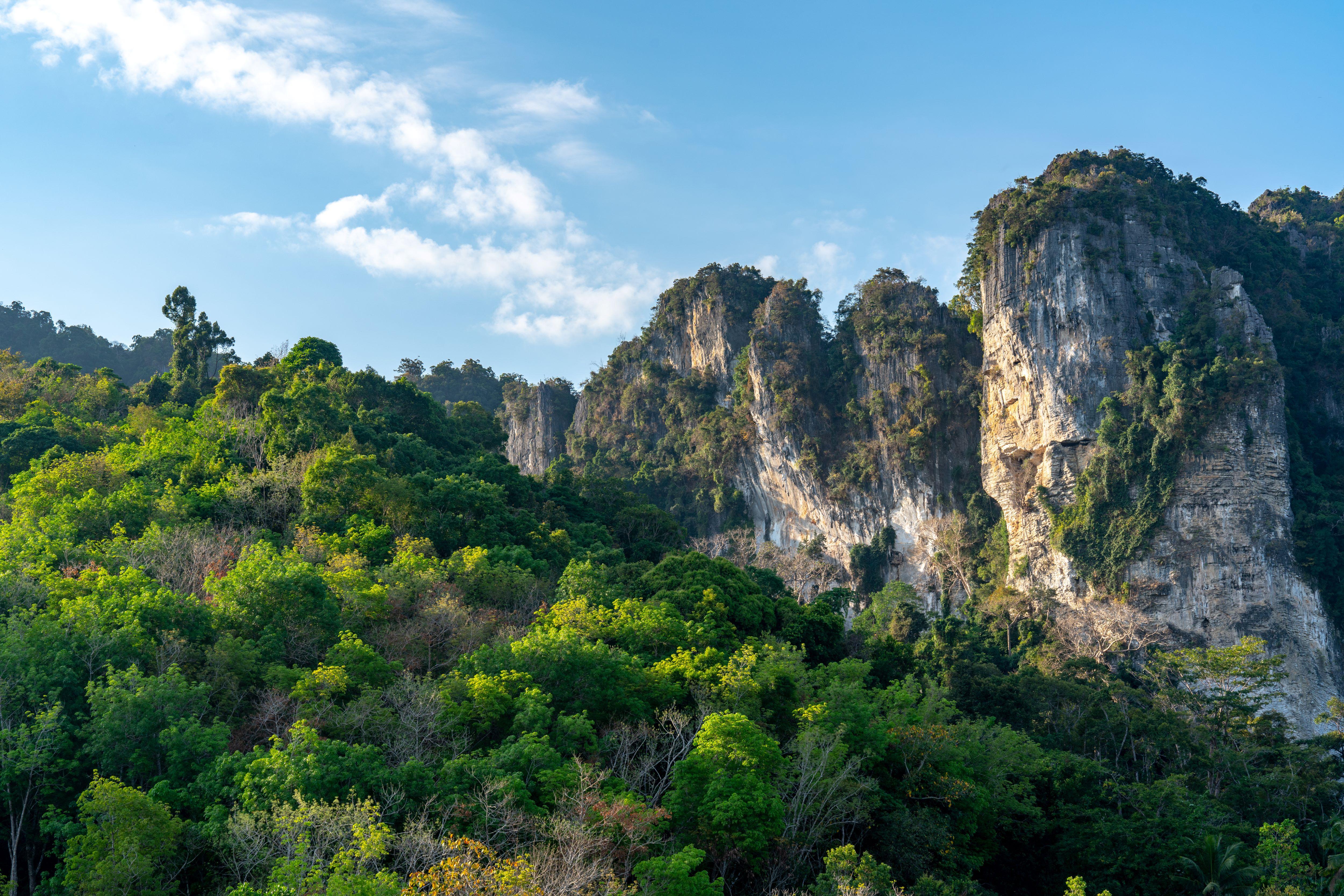 Отель Anana Ecological Krabi - Sha Extra 5*